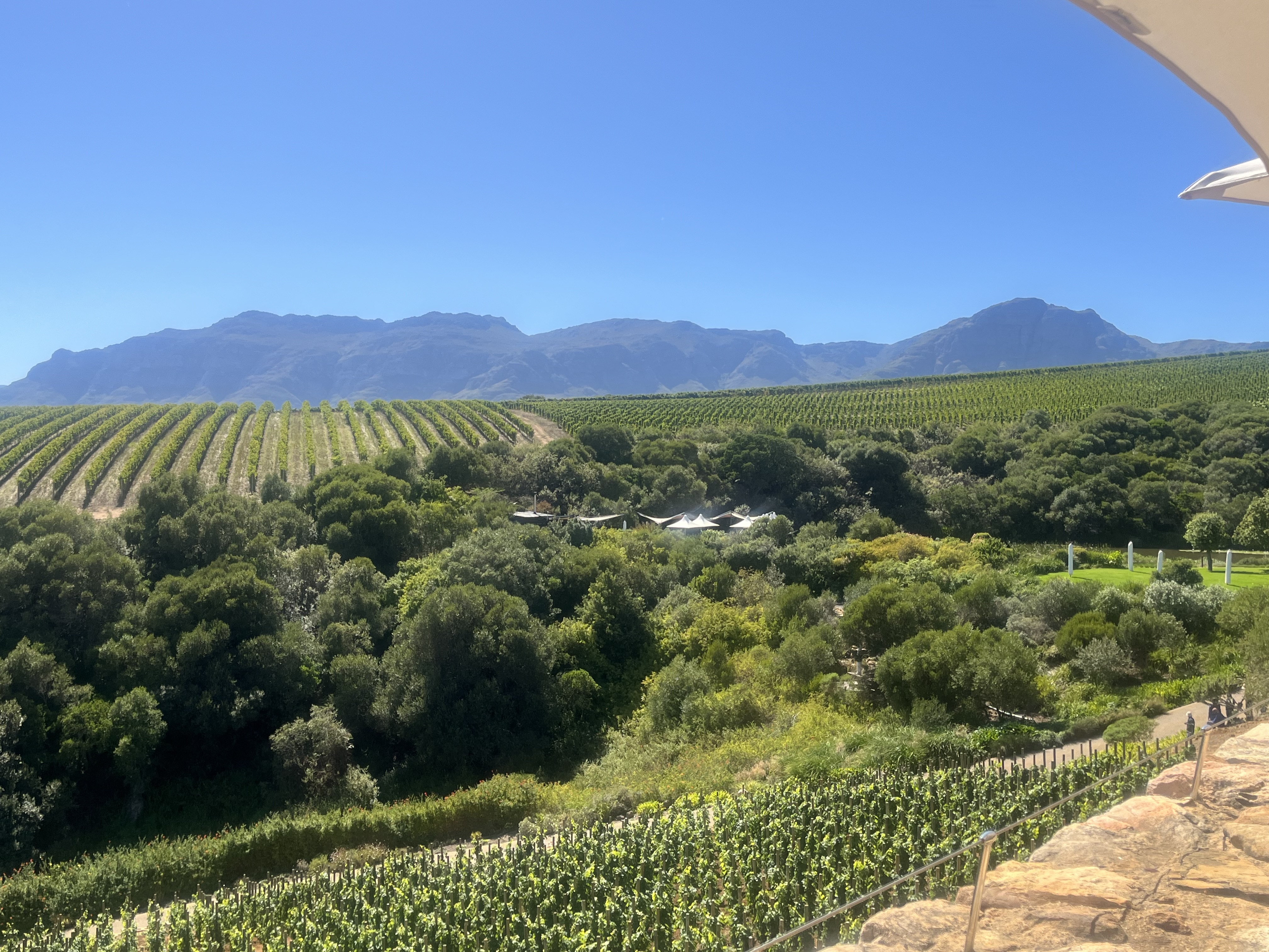Cape Winelands Tour