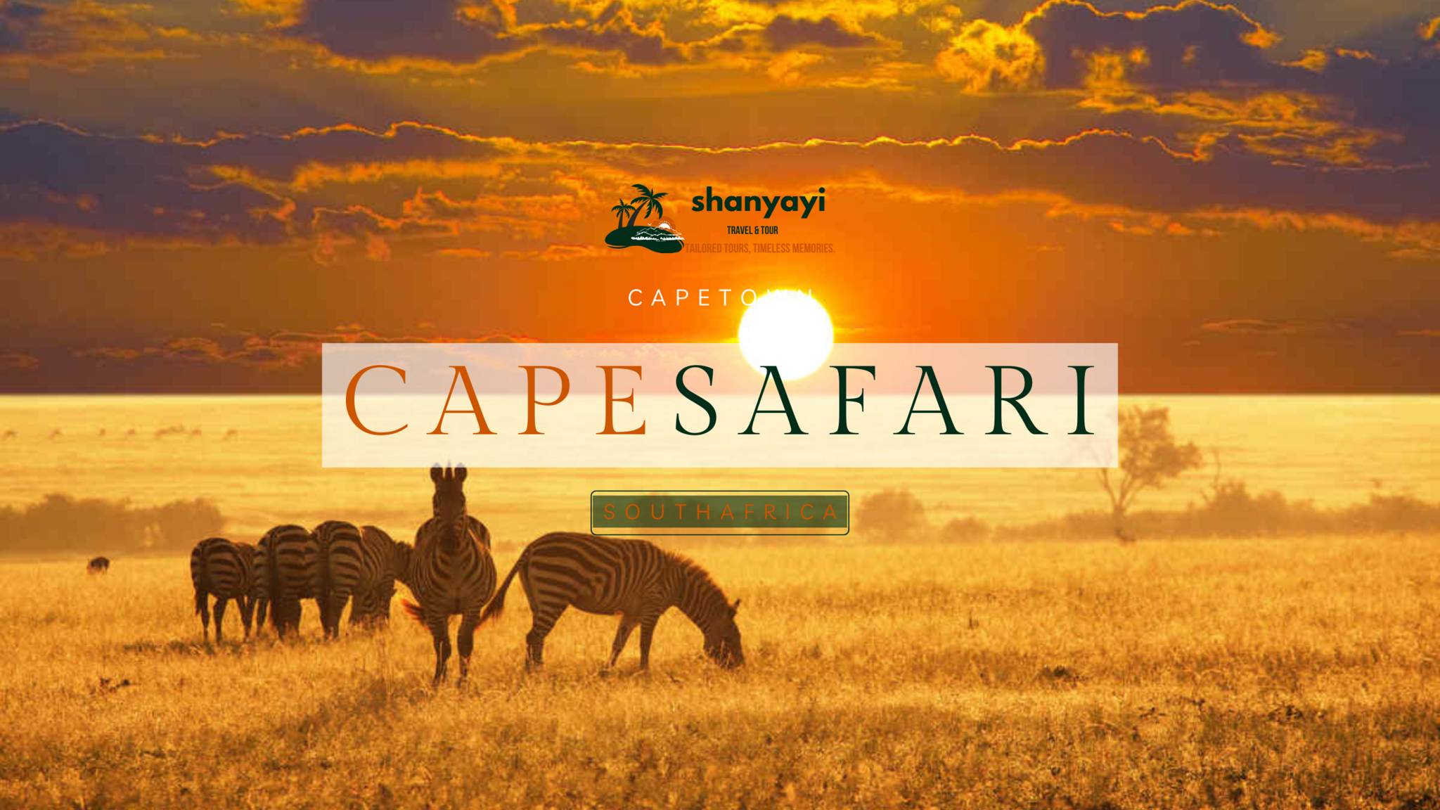 Cape Safari